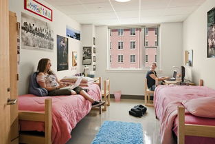 高校住宿服务回归纯粹，河北新规禁止公寓有偿服务与住宿捆绑